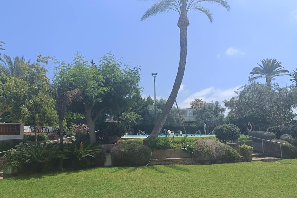 Apartamento 1ª Linea De Playa アリカンテ エクステリア 写真