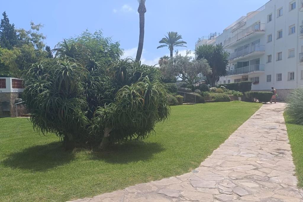 Apartamento 1ª Linea De Playa アリカンテ エクステリア 写真