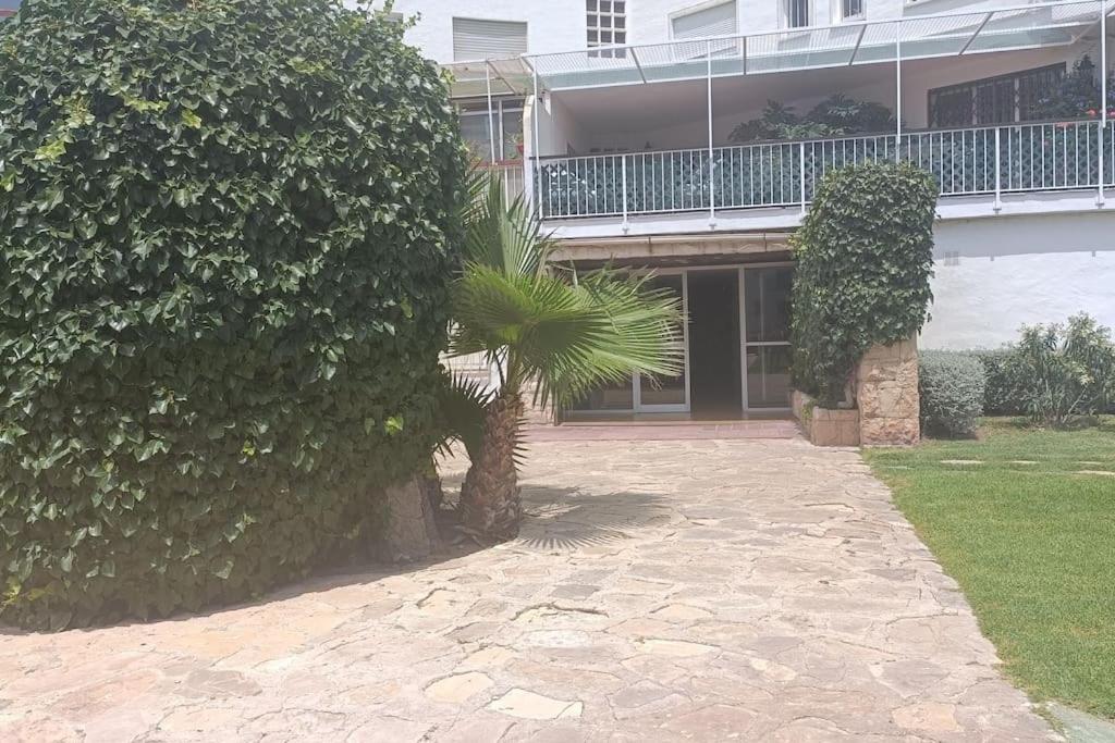Apartamento 1ª Linea De Playa アリカンテ エクステリア 写真